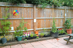 gardening area at Little Jays Preschool, Horsham